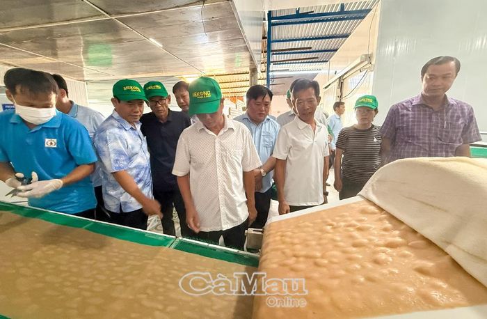 Đoàn công tác tham quan khu chế biến hàng thuỷ sản đông lạnh và khu sản xuất bánh phồng tôm.
