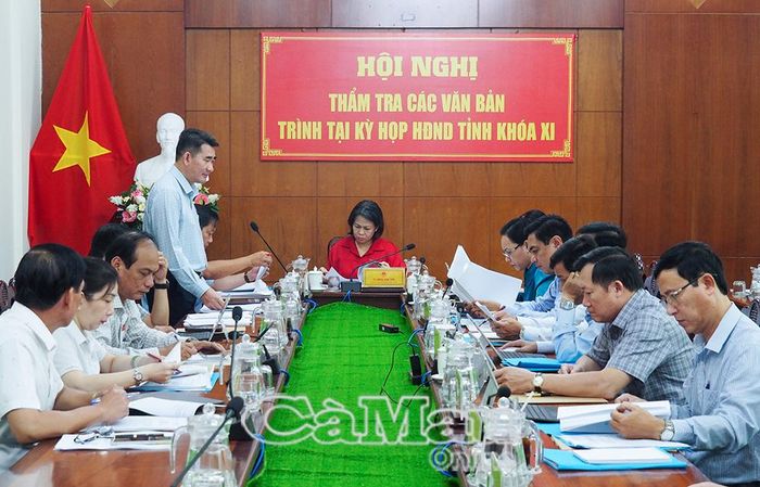 Phó Trưởng ban Kinh tế - Ngân sách HĐND tỉnh Trương Vũ Trường đóng góp cho các dự thảo nghị quyết.