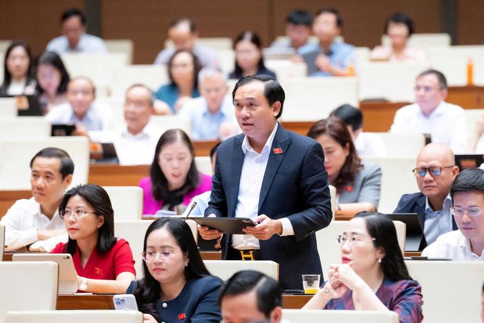 Đại biểu Bùi Thanh Toàn (Đoàn Đắk Lắk) phát biểu. Ảnh: media.quochoi.vn