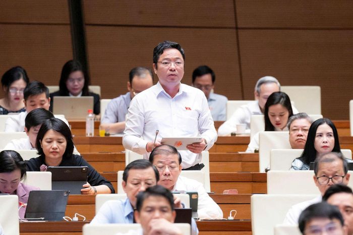 Đại biểu Nguyễn Thành Trung (Đoàn Hải Phòng) phát biểu. Ảnh: media.quochoi.vn