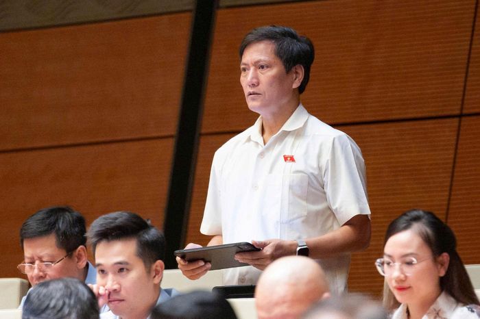Đại biểu Vương Kim Ánh (Đoàn Phú Thọ) phát biểu. Ảnh: media.quochoi.vn