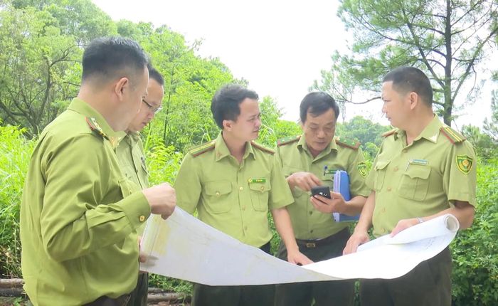 Ảnh minh họa
