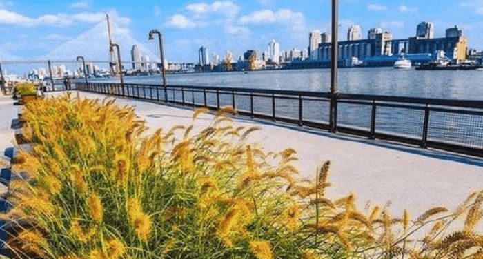 Việc quy hoạch đúng giúp dòng sông trở thành "máy điều hoà", làm mát cho thành phố. Ảnh: ciie.org