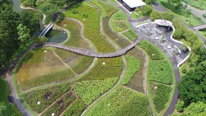 Bishan-Ang Mo Kio Park ban đầu chỉ là kênh thoát nước bê tông cũ được tự nhiên hóa thành dòng sông uốn lượn dài khoảng 3km với thảm thực vật và không gian mở tiếp cận trực tiếp dòng nước. Ảnh: Trip