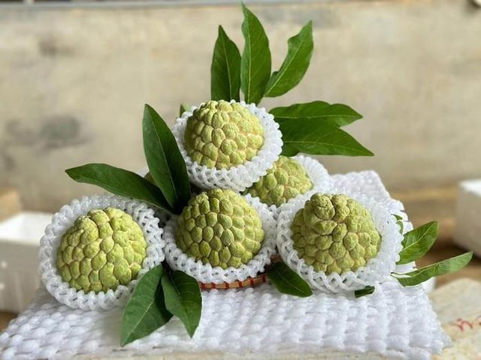 Na dai và na bở đều mang hương vị riêng, thơm ngon và có nhiều tác dụng tốt đối với sức khỏe.