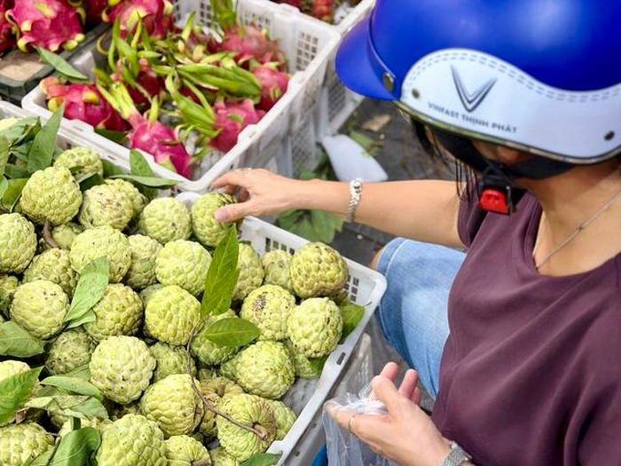 Người tiêu dùng nên lựa chọn địa chỉ uy tín để mua được hàng đảm bảo chất lượng.