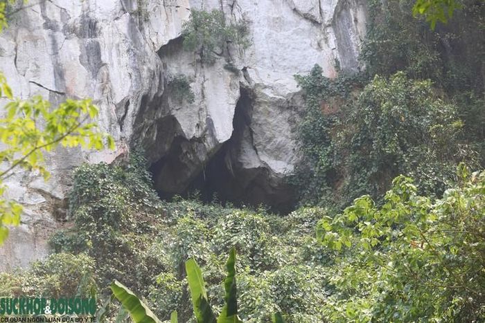 Cửa hang nằm trên vách, cách chân núi khoảng 30m, cửa rộng khoảng 10m, cao gần 5m.