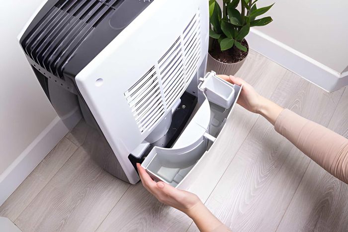 Kiểm tra và vệ sinh bình chứa nước thường xuyên để duy trì hiệu quả hoạt động của máy. Ảnh: iStock.
