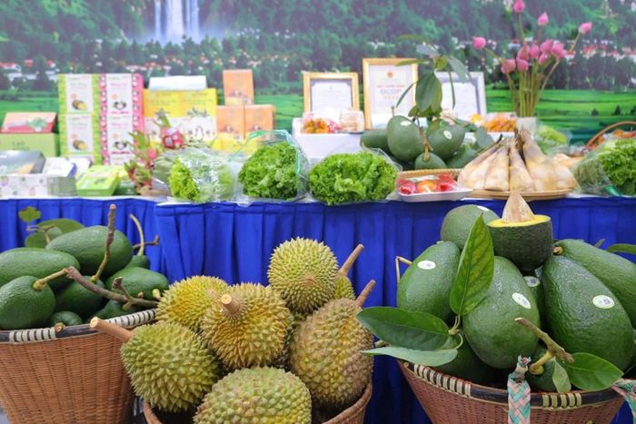 Các đặc sản vùng miền tạo nên không gian giao lưu, kết nối đa dạng