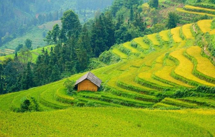 Không khí Lễ hội Mừng cơm mới năm 2026 đang lan tỏa khắp các thôn, bản của xã Sơn Lương