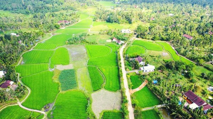 Làng cổ Lộc Yên là một trong 4 làng cổ của cả nước được xếp hạng Di tích cấp quốc gia, tại đây hiện còn lưu giữ nhiều nhà cổ có niên đại 100-150 năm