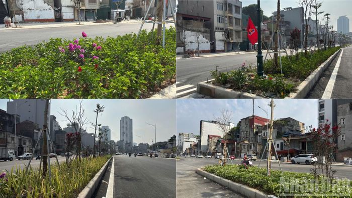 Mặt đường được trải nhựa, dải phân cách đã trồng cây xanh và hoa, cũng như lắp hệ thống đèn chiếu sáng.