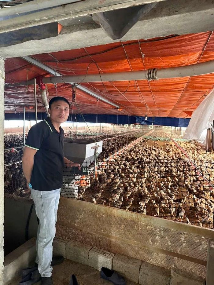 Anh Trịnh Tiến Toàn, xã Thanh Liêm, tỉnh Ninh Bình bên trang trại gà trước khi chuyển nhượng trang trại vì thua lỗ.