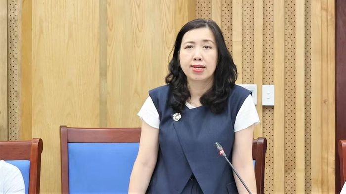 Thứ trưởng Ngoại giao Lê Thị Thu Hằng phát biểu tại buổi làm việc. (Ảnh: KIM OANH)