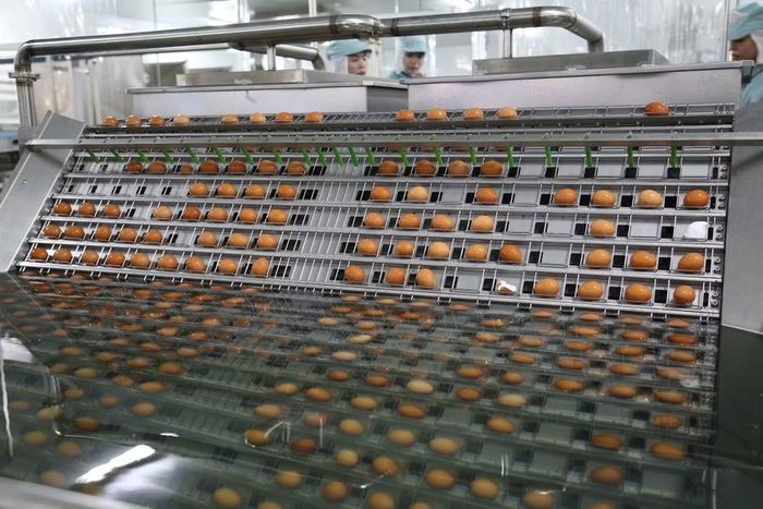 Dây chuyền chế biến trứng gà ăn liền của Dabaco Group.