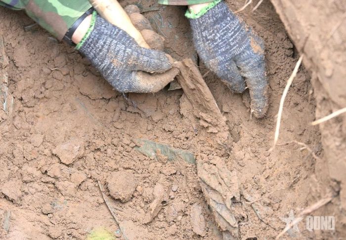 Cẩn thận từng chút khi phát hiện được các mẫu vật.
