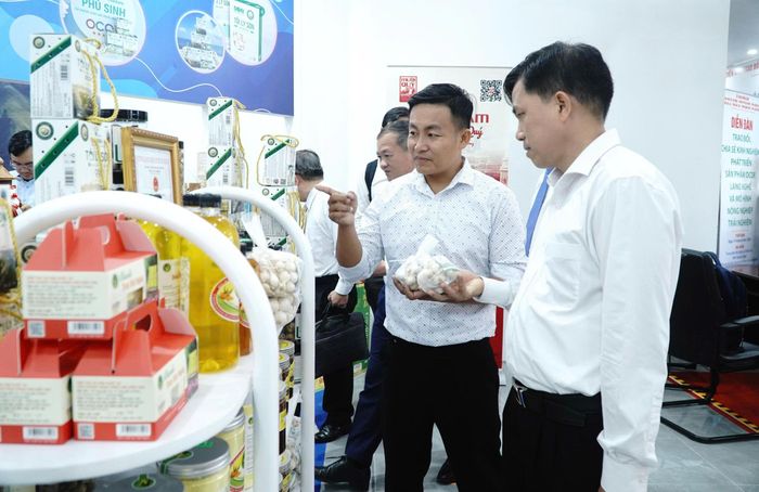  Các sản phẩm đặc trưng của Quảng Ngãi như tỏi, dầu phụng...Ảnh: NGỌC OAI 