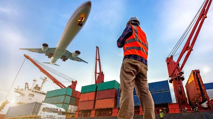 Logistics nổi lên trong nhóm ngành được tìm kiếm nhiều, phản ánh nhu cầu nhân lực ngày càng lớn của lĩnh vực này.