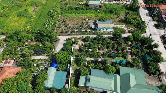 Hộ bà Chiều có kiến nghị với xã rằng, gia đình có 1524,0m2 đất trồng cây hàng năm khác, tâm huyết rót vốn đầu tư cây cảnh cổ thụ nhằm góp phần cho sự phát triển làng nghề sinh vật cảnh và diện mạo khu du lịch sinh thái sinh vật cảnh địa phương. Tại diện tích đất này, xã đã đo đạc, kiểm đếm và thông báo thu hồi 683m2 đất vườn, lập biên bản xác nhận có 125 gốc cây cảnh cổ thụ (kích thước 40cm-1m), có tính nghệ thuật.
