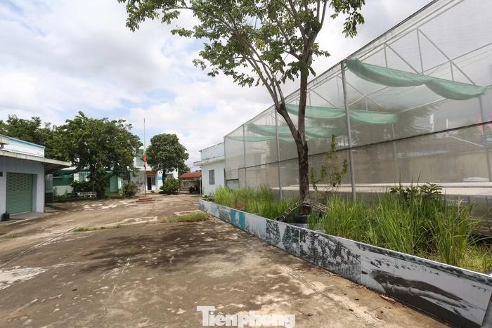 Một số khu đất có diện tích rất lớn. Trong đó, khu đất và nhà Trạm Kiểm lâm xã Tân Biên rộng hơn 43.600 m²; điểm ấp Cái Tôm - Trường TH&THCS Thạnh An tại xã Thạnh Hóa hơn 20.700 m²; trụ sở Trạm Y tế Phường 2 cũ tại phường Kiến Tường rộng hơn 7.300 m².