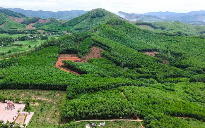 Khu vực đồi Xuân Sơn - nơi lực lượng chức năng tỉnh Gia Lai - đang khoanh vùng vị trí để tìm kiếm hố chôn các liệt sĩ. Ảnh: Đức Dũng.