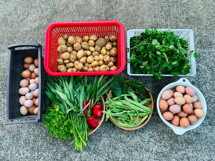 Những loại rau trái mà chị Tâm tự trồng trọt...