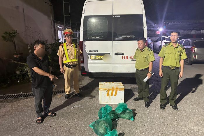 Lái xe cùng 3 cá thể cầy vòi hương bị lực lượng chức năng phát hiện. Ảnh: Công an tỉnh Quảng Ninh