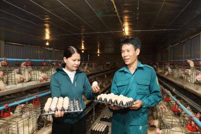 Sự đồng hành của địa phương giúp người dân mạnh dạn phát triển kinh tế.