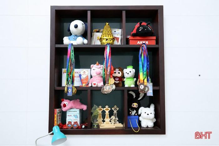 Bộ sưu tập huy chương đồ sộ ở môn cờ vua của Trần Nữ Thiện Nhân và em trai.