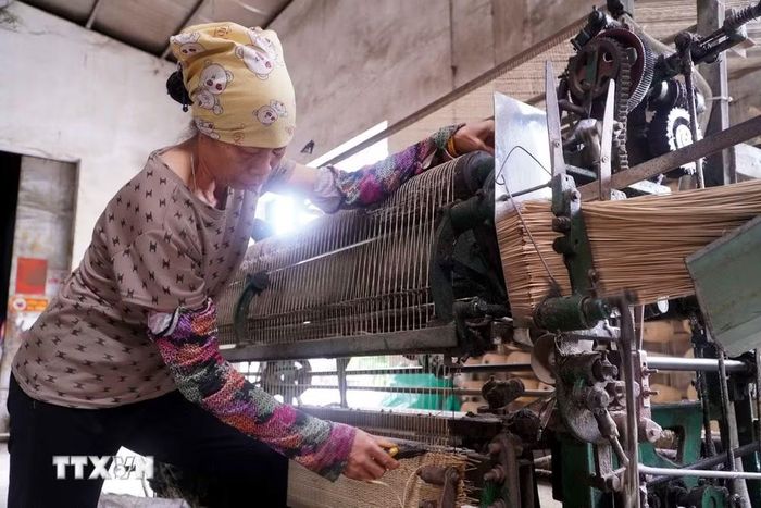 Nếu dệt chiếu cói thủ công thì 1 người có thể dệt được 2 lá chiếu/ngày nhưng dệt máy thì 1 người đứng máy có thể dệt được 25 lá chiếu/ngày. (Ảnh: Nguyễn Công Hải /TTXVN)