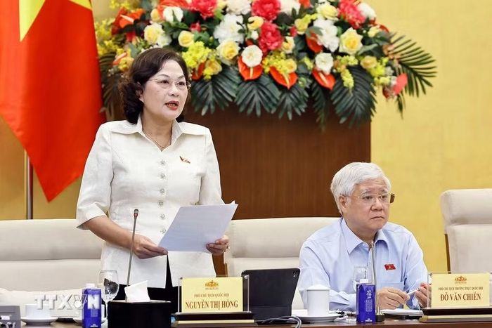 Phó Chủ tịch Quốc hội Nguyễn Thị Hồng phát biểu. (Ảnh: Doãn Tấn/TTXVN)