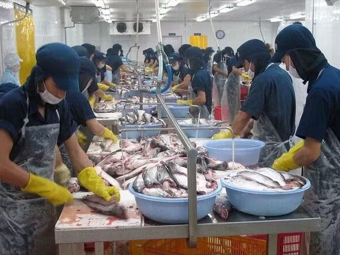 Doanh nghiệp sản xuất sẽ được vay vốn với lãi suất ưu đãi. (Ảnh: Vietnam+)