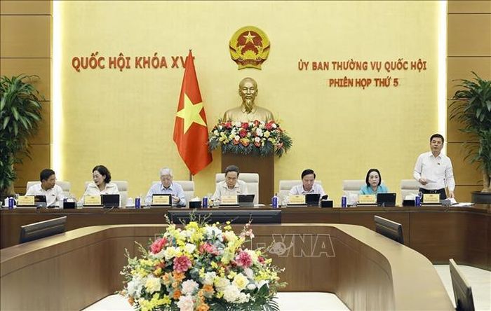 Phó Chủ tịch Quốc hội Nguyễn Hồng Diên phát biểu.