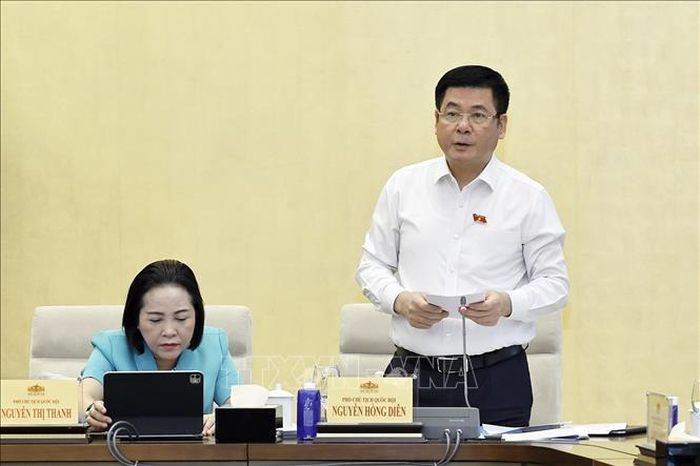 Phó Chủ tịch Quốc hội Nguyễn Hồng Diên phát biểu.