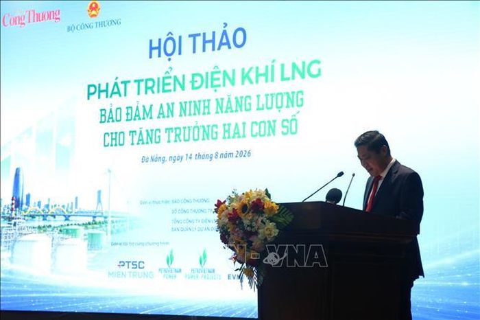 Phó Chủ tịch UBND thành phố Đà Nẵng Phan Thái Bình phát biểu.
