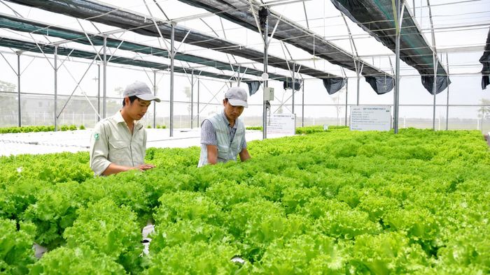 Sản phẩm nông nghiệp được giới thiệu khá nhiều đến đông đảo du khách.