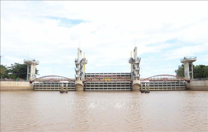 Sau khi đóng cống Tha La, mực nước ở thượng lưu đã tăng khoảng 0,2m, hạ lưu giảm 0,2m. Ảnh: Công Mạo/TTXVN