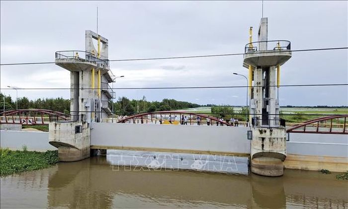 Cống Trà Sư (phường Thới Sơn, tỉnh An Giang) sẽ được đóng lúc 10 giờ ngày 14/8/2026 nhằm chủ động kiểm soát nguồn nước, bảo vệ sản xuất lúa Thu Đông vùng hạ lưu. Ảnh: Thanh Sang/TTXVN