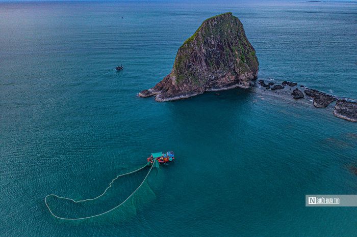 Mỗi mùa cá cơm về, khắp vùng biển ở Hòn yến tấp nập tàu bè từ lúc sáng sớm tinh mơ đến tối muộn. Thông thường, tàu sẽ thả lưới vào chiều hôm trước, xuyên đêm và sẽ trở về bờ vào sáng hôm sau. 