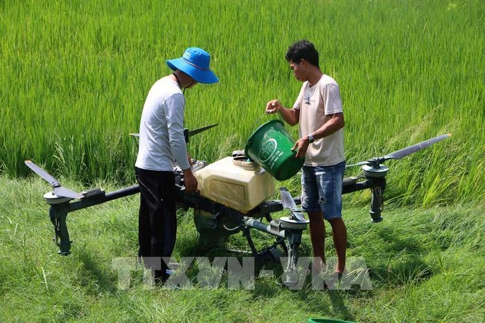 Cần Thơ không định hướng phát triển nông nghiệp theo chiều rộng mà theo hướng ít đất hơn nhưng giá trị cao hơn. Ảnh: Duy Khương – TTXVN