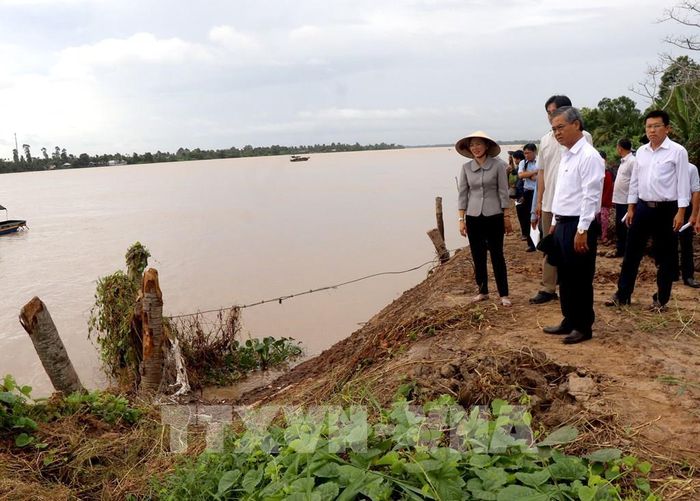 Phó Chủ tịch UBND tỉnh Vĩnh Long Châu Văn Hòa cùng đại diện các ngành khảo sát tại khu vực sạt lở cồn Thanh Long, xã Quới Thiện. Ảnh: Lê Thúy Hằng – TTXVN