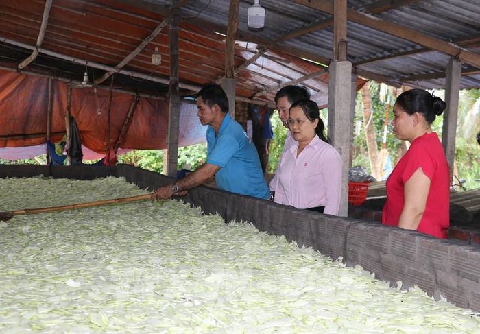 Cán bộ Ngân hàng Chính sách xã hội tỉnh Đồng Tháp tham quan mô hình sấy rau củ quả của chị Nguyễn Ngọc Nhàn phát triển từ số vốn vay 100 triệu đồng. Ảnh: Hữu Chí - TTXVN