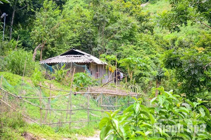 Theo người dân địa phương, đằng sau khung cảnh biên giới bình yên của bản Xa Lao là nỗi lo sạt lở, lũ quét mỗi khi mưa bão về. Họ mong mỏi chính quyền các cấp sớm triển khai dự án tái định cư để người dân an cư.