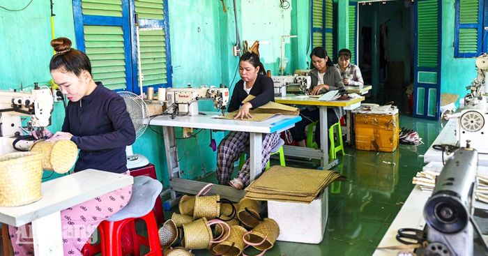 Nhờ cỏ bàng, nhiều phụ nữ có việc làm tại địa phương.