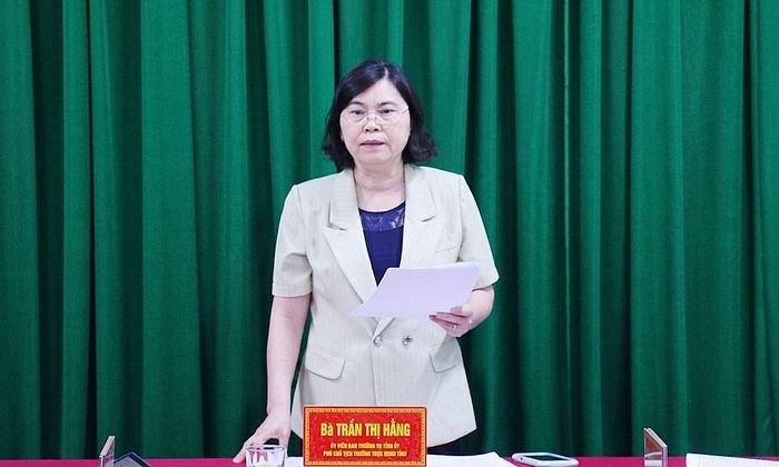Đồng chí Trần Thị Hằng phát biểu tại buổi giám sát.