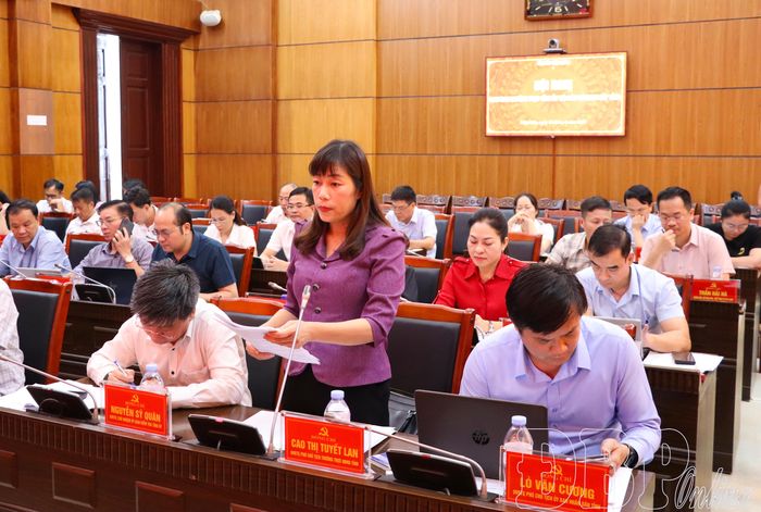 Đồng chí Cao Thị Tuyết Lan, Ủy viên Ban Thường vụ Tỉnh ủy, Phó Chủ tịch Thường trực HĐND tỉnh phát biểu tại hội nghị.