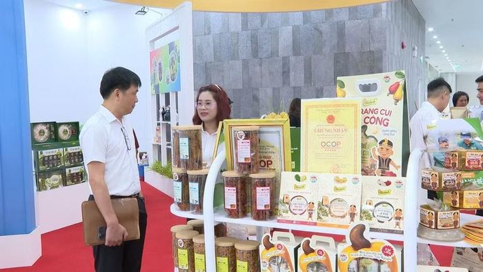  Các doanh nghiệp Gia Lai tham gia trưng bày sản phẩm OCOP. Ảnh: Nhật Trường 