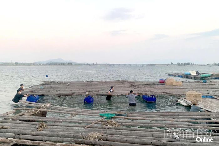 Người dân nuôi trồng thủy sản trái phép tại khu vực phía bắc cầu Long Hồ tháo dỡ lồng bè.