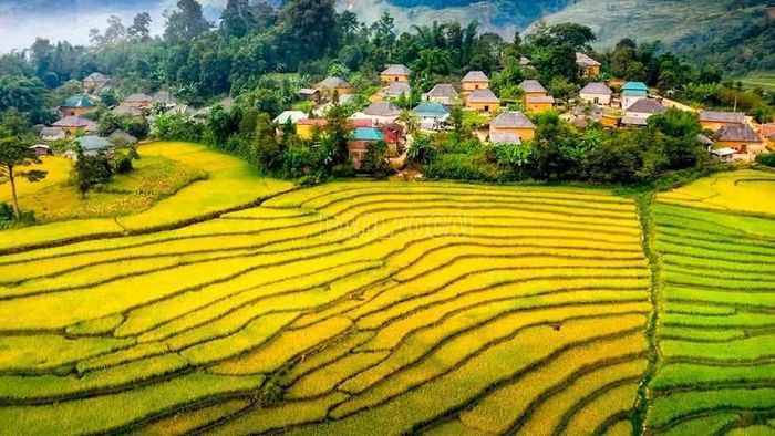 Y Tý mùa lúa chín như thiếu nữ đang căng tràn sức sống, mang trong mình không chỉ vẻ đẹp, mà còn là sự đủ đầy. Bạn còn chờ gì nữa, hãy đến với biển mây để chiêm ngưỡng vẻ đẹp mùa vàng nơi non cao Y Tý.