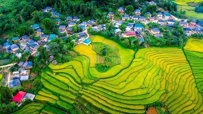 Từng lớp ruộng bậc thang với sắc xanh, đôi chỗ điểm vàng như chiếc khăn sắc màu tự nhiên ôm ấp những ngôi nhà nấm truyền thống của đồng bào Hà Nhì, khiến khung cảnh càng trở nên thơ mộng. Từ trên cao nhìn xuống, bản Hà Nhì toát lên vẻ đủ đầy, sung túc.